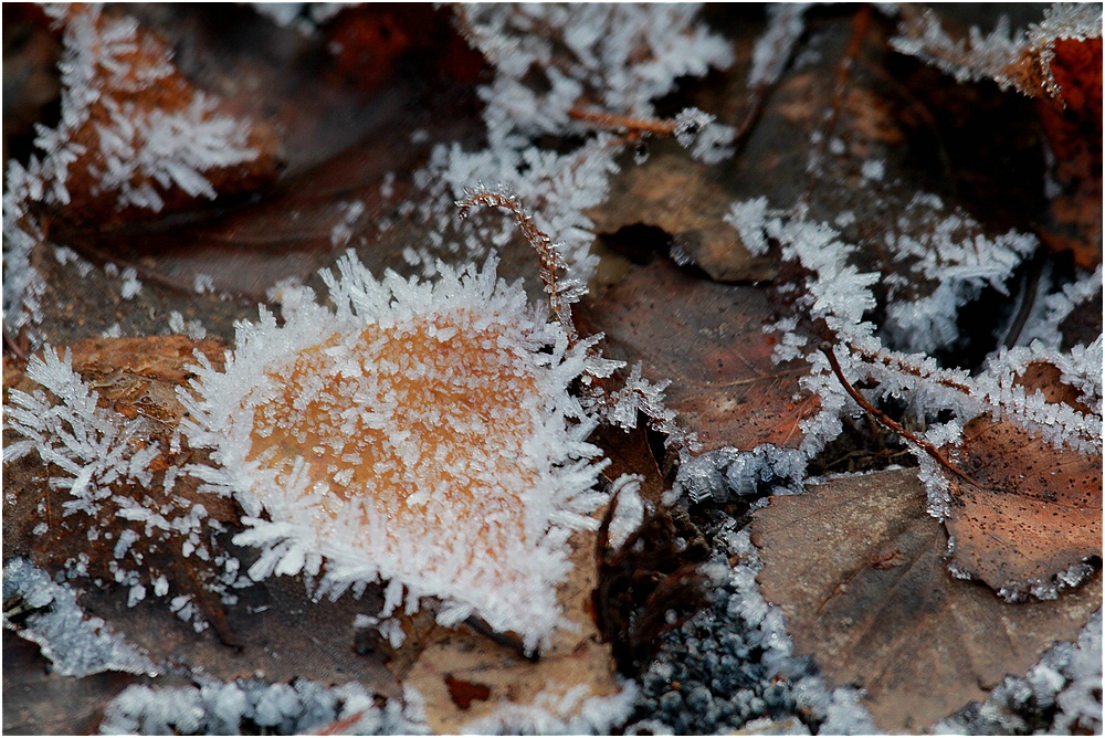 Ice heart