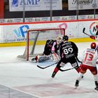 ice hockey ' match au coliseum d'amiens (80) 