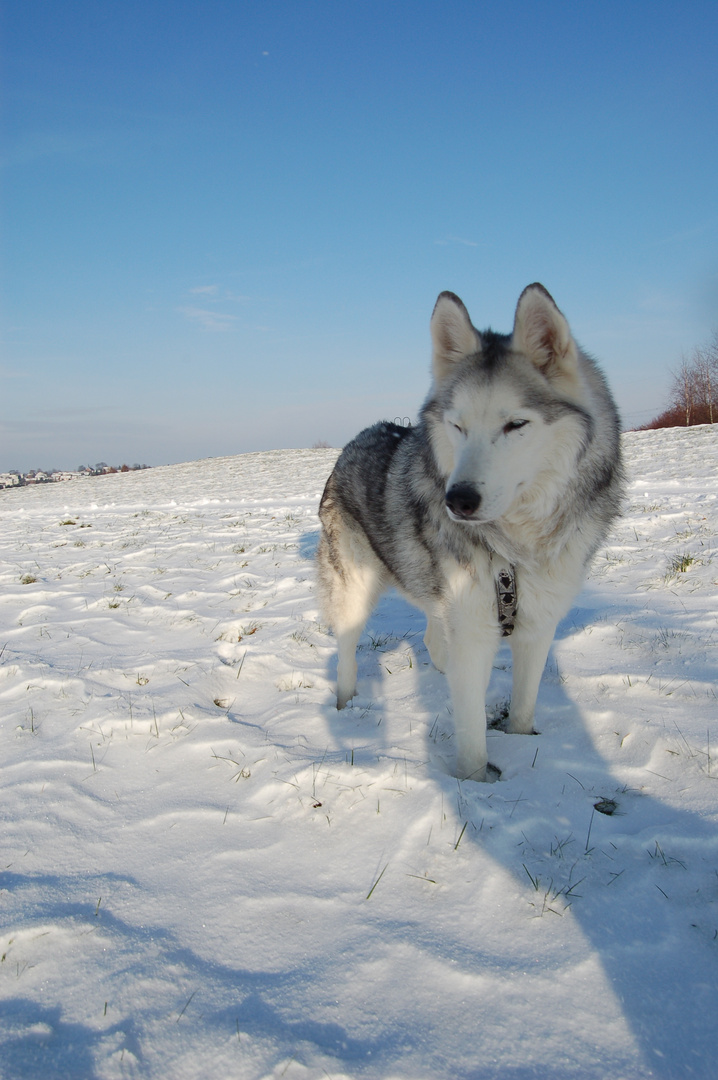 Ice im Schnee , endlich.