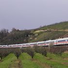 ICE in herrlicher Landschaft