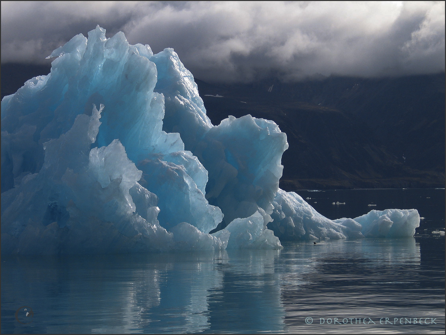 Ice in Lilliehoeoekfjorden