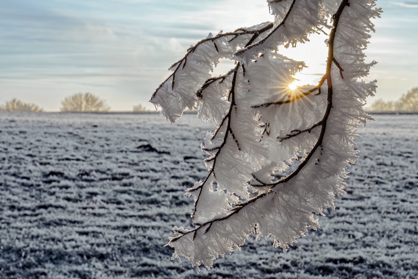 Ice in the sun