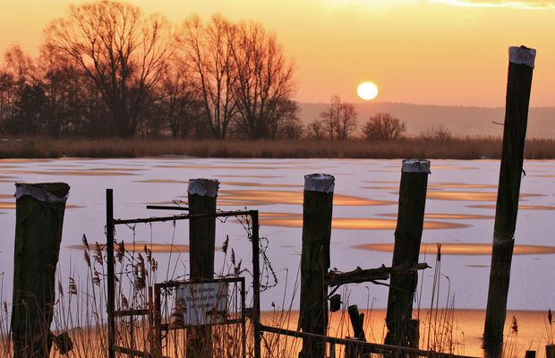 [Ice in the sunshine]