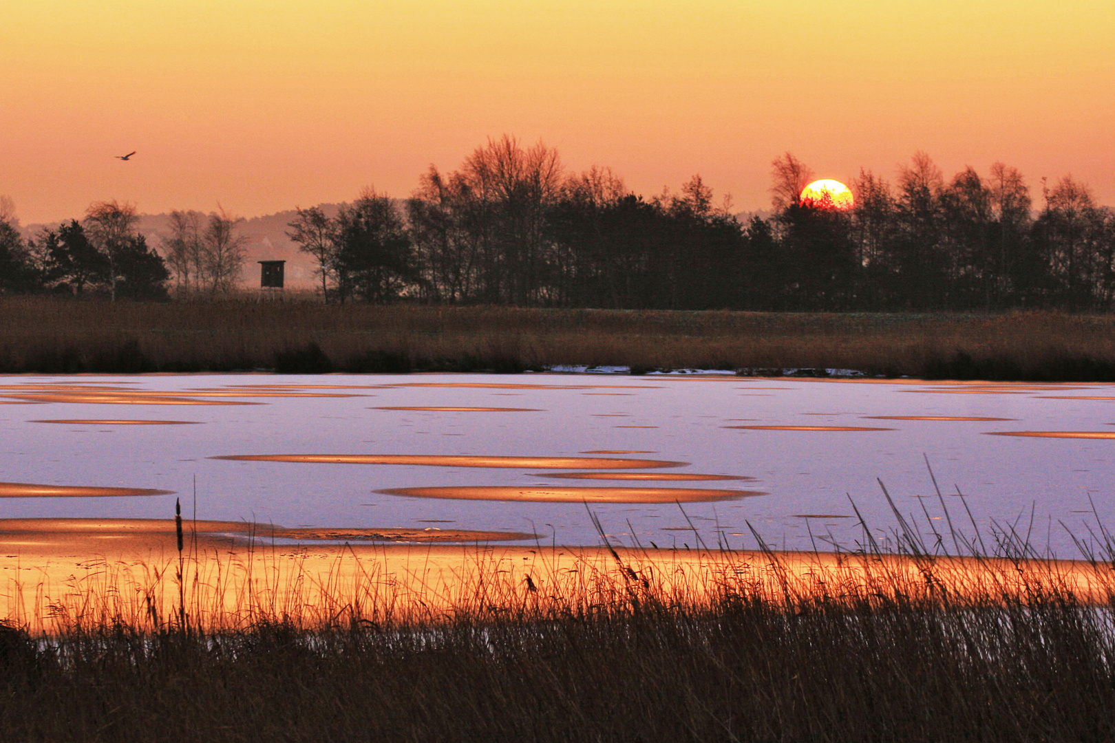 [Ice in the sunshine II]