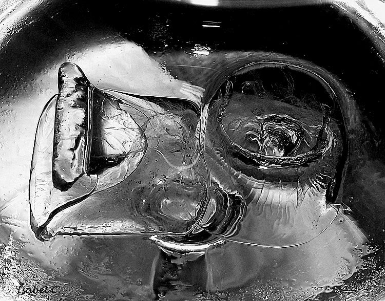 Ice in whiskey