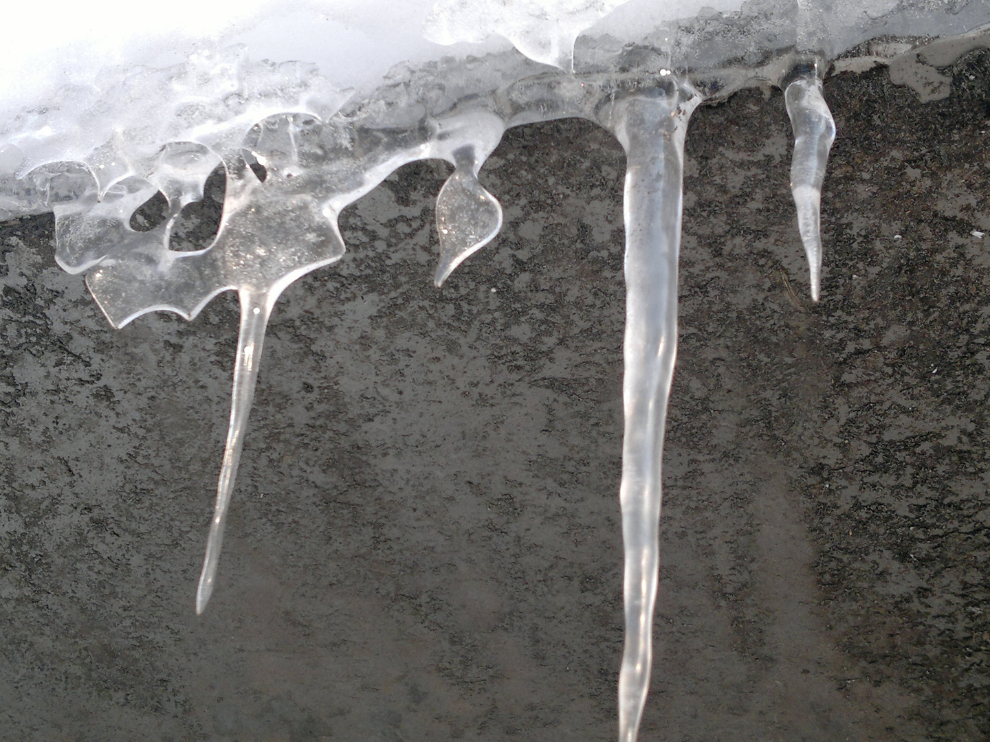 Ice laces in the Milan morning