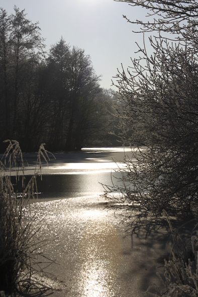 Ice Lake