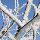 Ice on grass