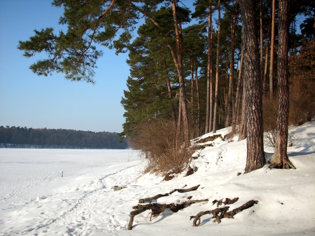 Ice on lake