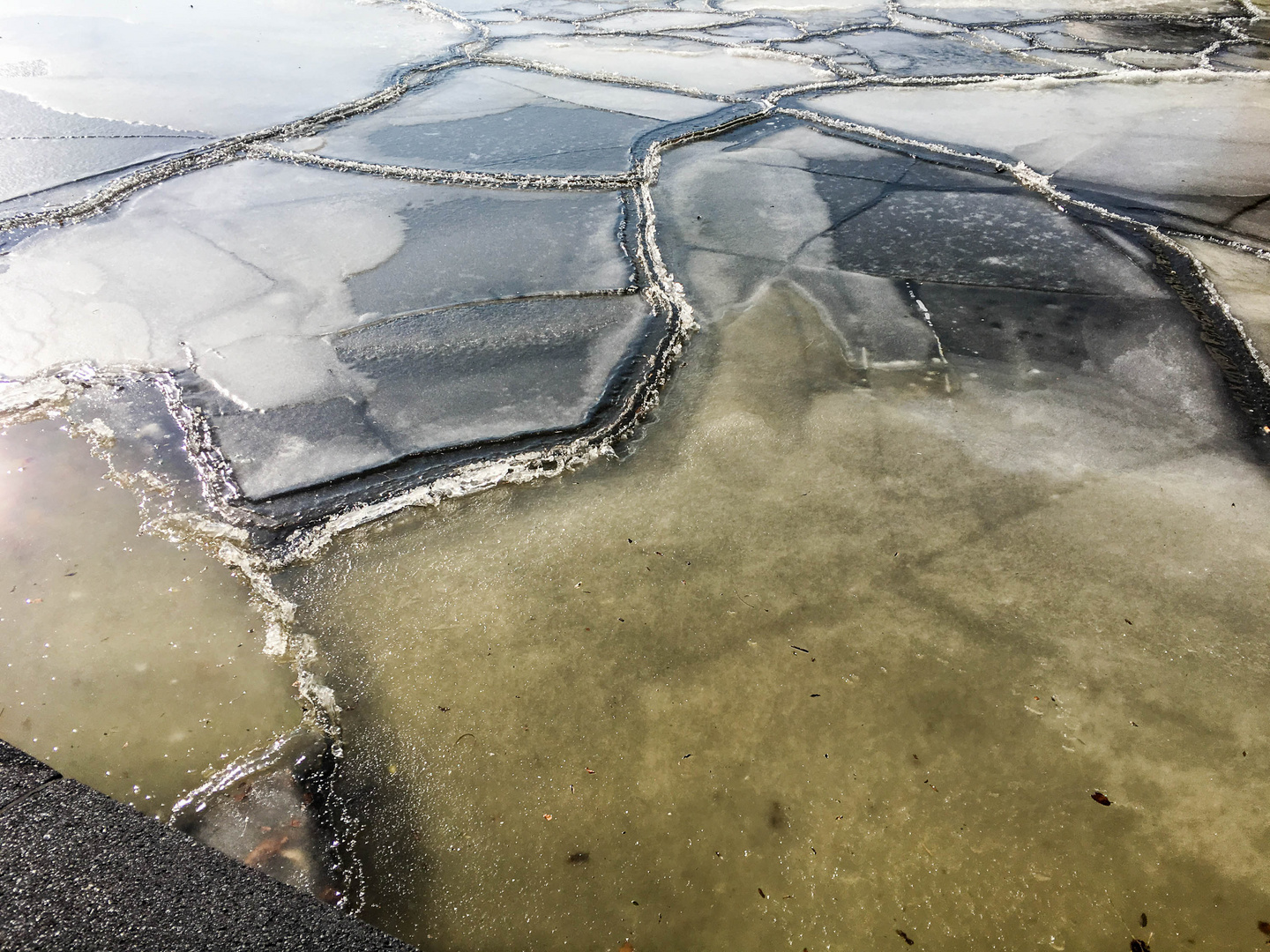 Ice on the Amstel