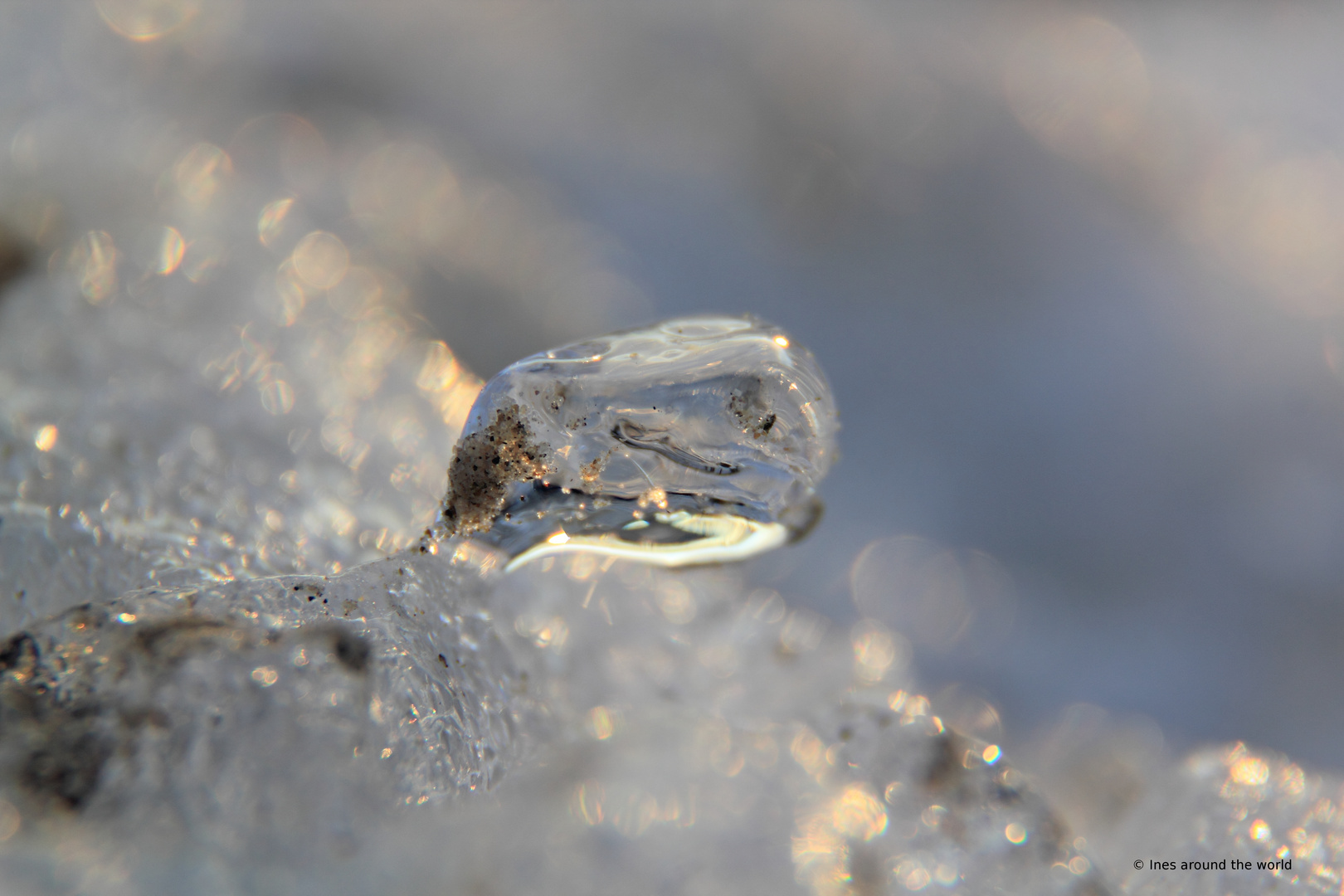 Ice on the beach