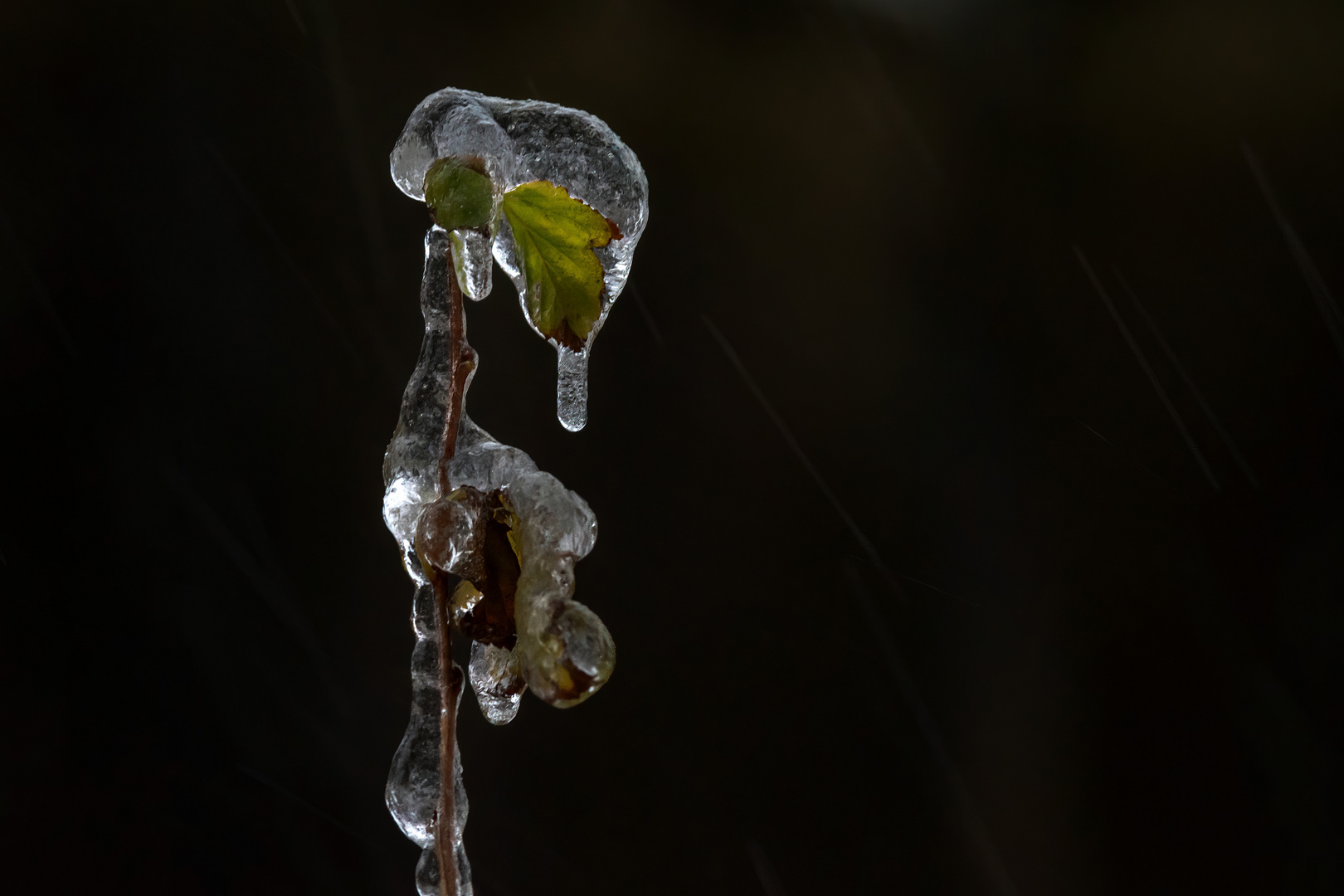 Ice rain