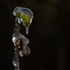 Ice rain