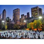 { ice rink @ central park }