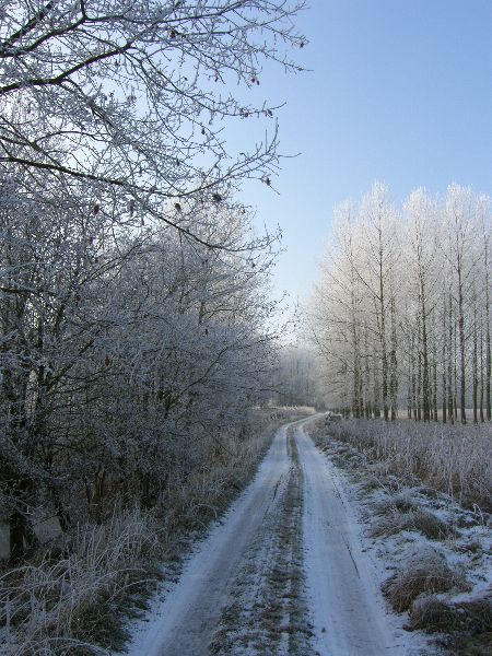 Ice road