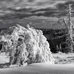 ice sculpture