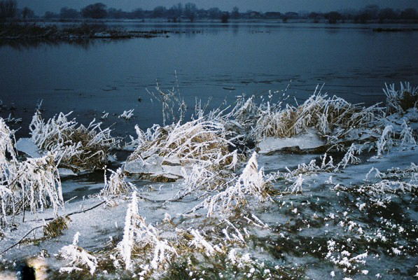 ice sheets along the river Elbe