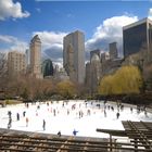 Ice Skate Central Park