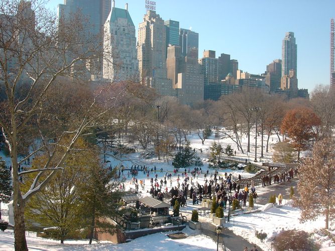 Ice skating in Central Park