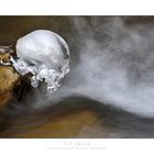 Ice Skull