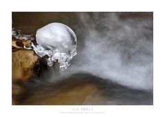 Ice Skull