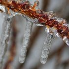 ice storm