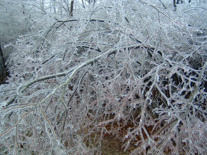 ice storm