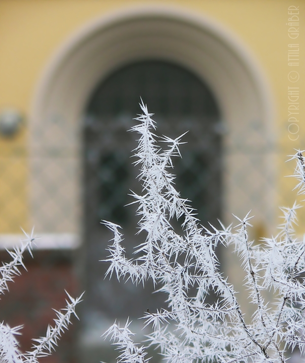 ice thorns