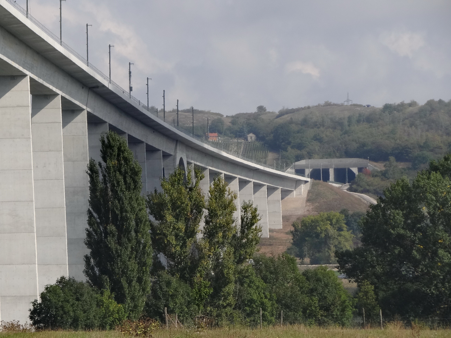 ICE Trasse Brücke Unstruttal