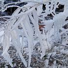 Ice-tree