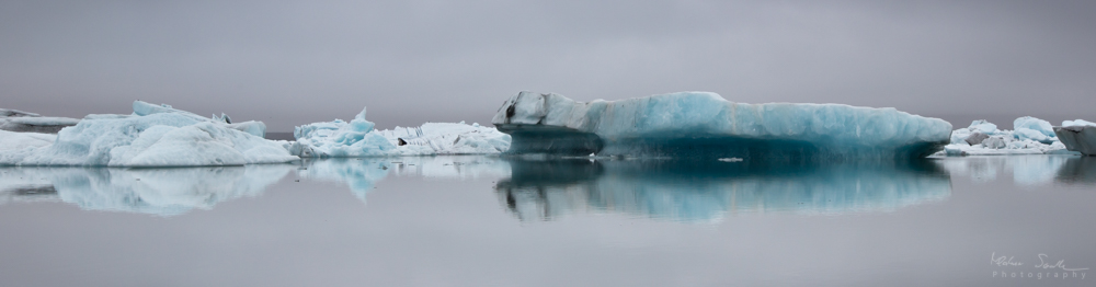 Ice Turtle