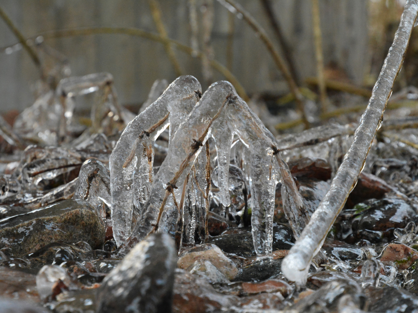 Ice under the Bridge 2