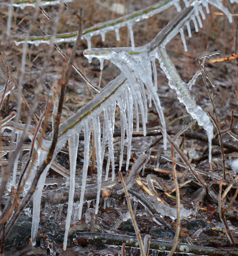 Ice under the bridge 5