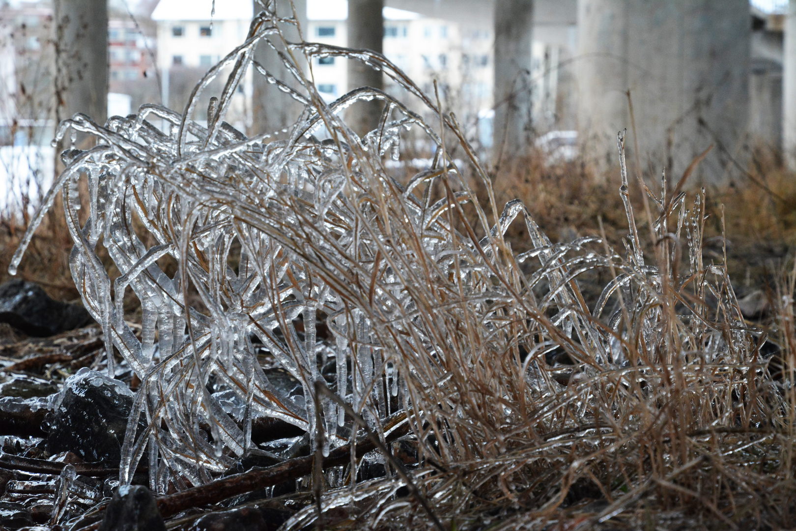 Ice under the bridge