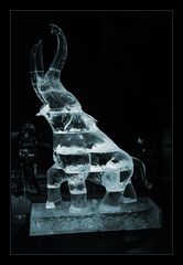 Ice World 2005 - Elefant