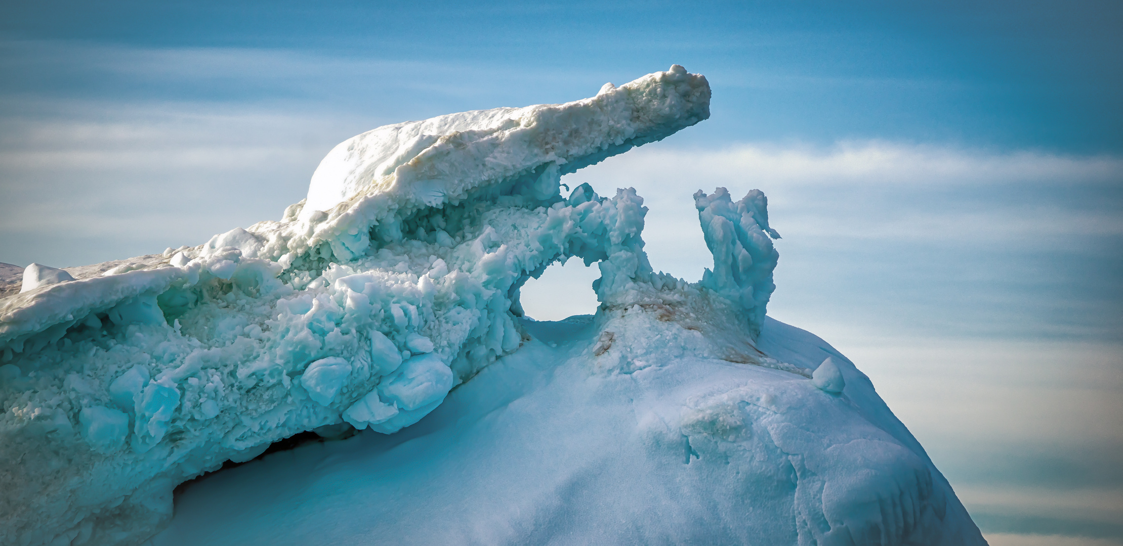 IceArt - Das Krokodil