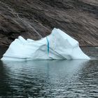 Iceberg