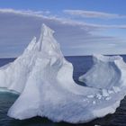 iceberg groenland