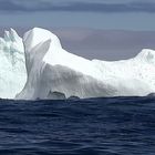 Iceberg III