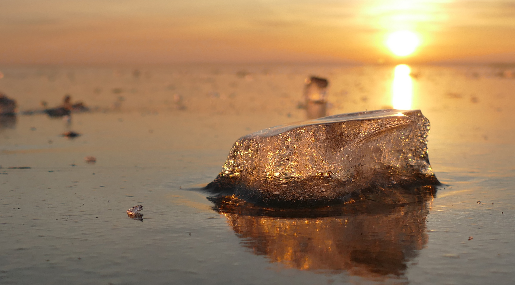 Iceberg in der Abendsonne