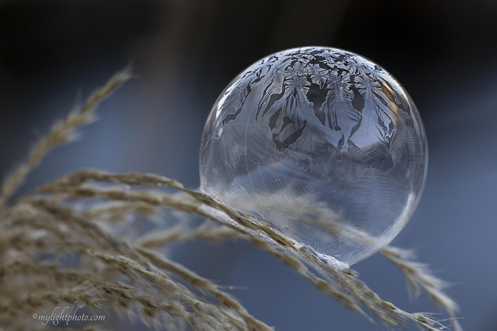 Icebubble