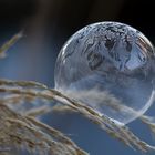 Icebubble