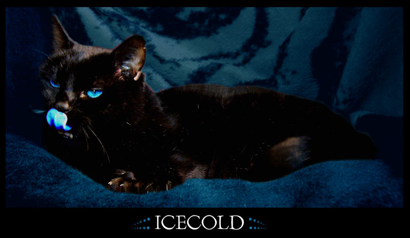 Icecold