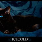 Icecold