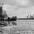 Icecold harbor day in Hamburg