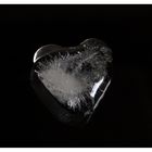 Iced Heart