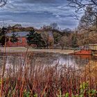 Iced over Rufford Mill Lake