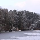 Iced Pond