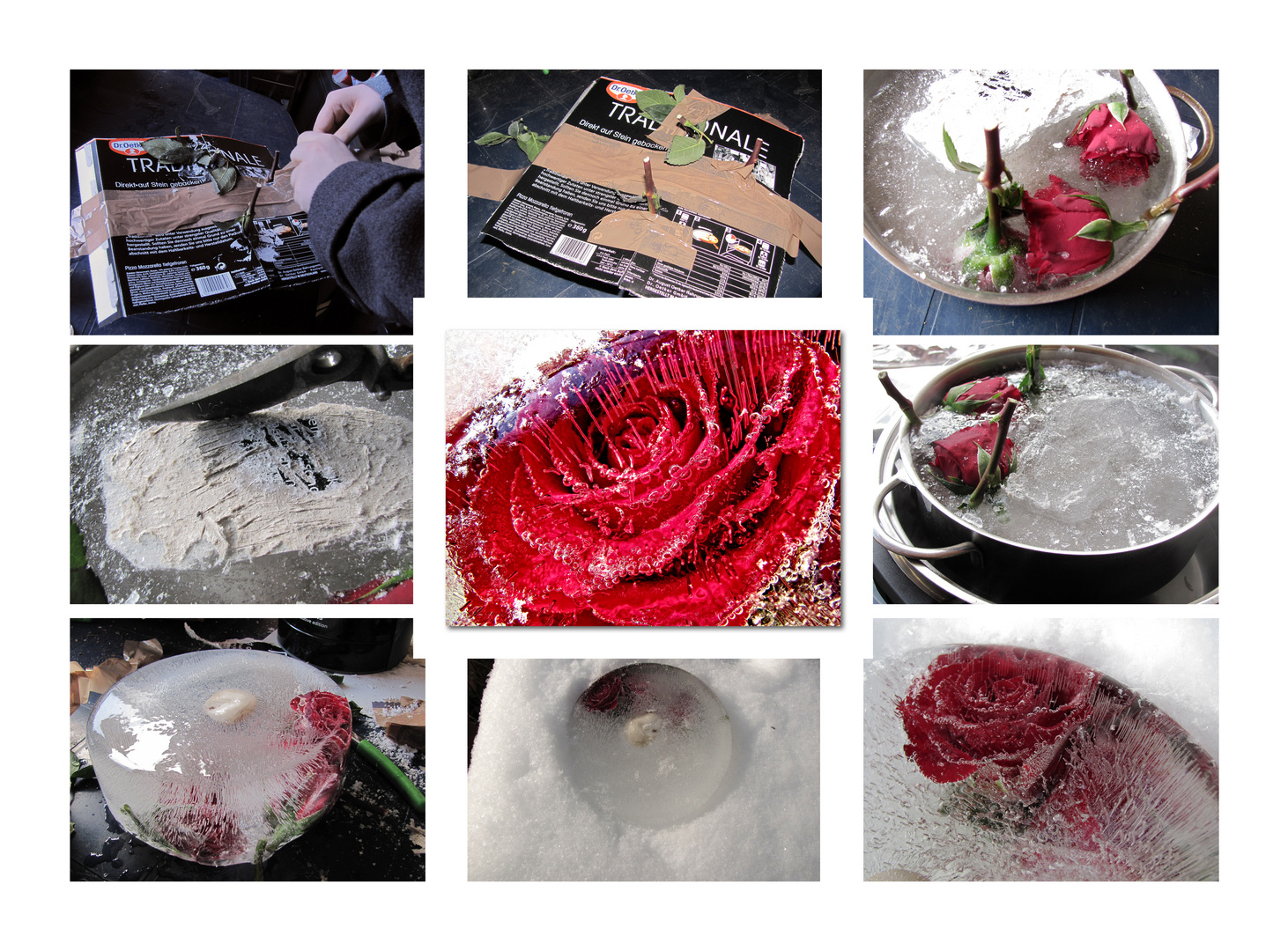 iced rose - Collage Kunstprojekt