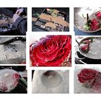 iced rose - Collage Kunstprojekt